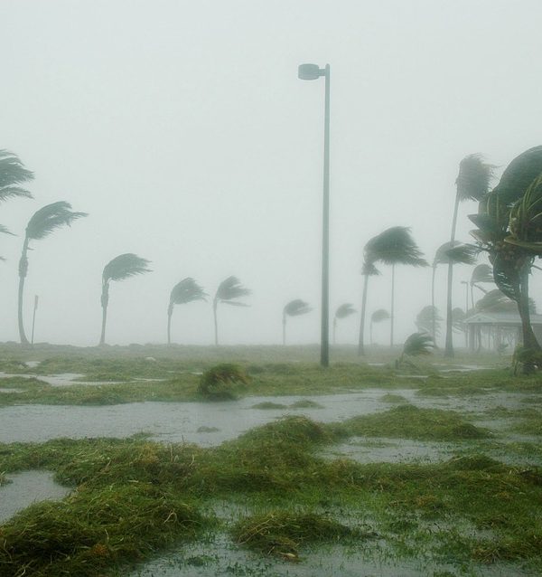 Hurricane Season 2020